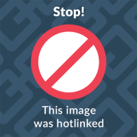 Chris B. profile picture